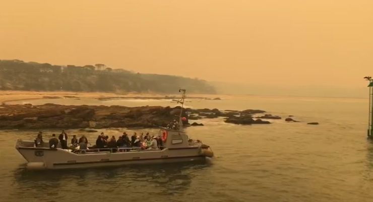 Royal Australian Navy, Landing Craft, Vehicles, and Personnel at Mallacoota 2020